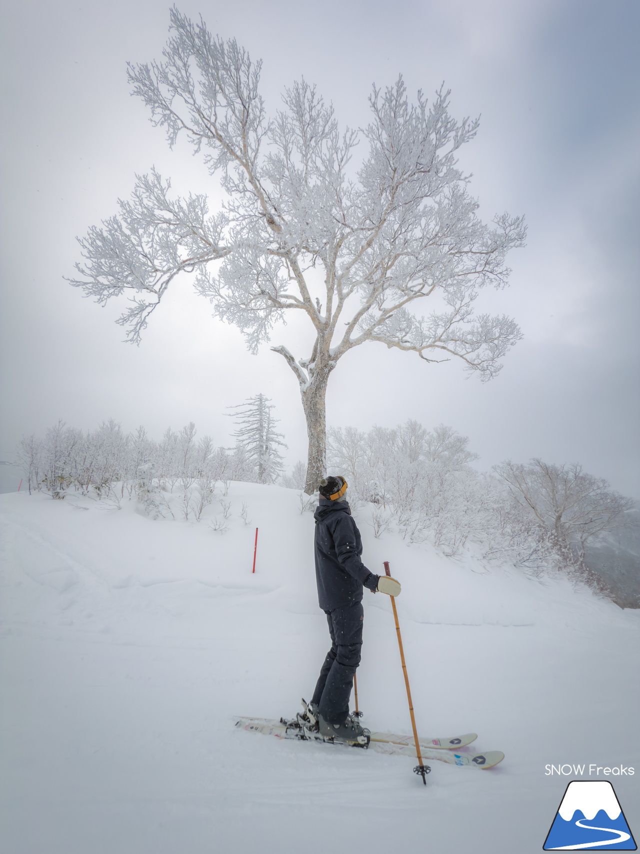 キロロリゾート｜遅ればせながら…。積雪200cmのキロロで、2025～2026 SNOW Freaks『初滑り』。今シーズンもどうぞよろしくお願いいたします！